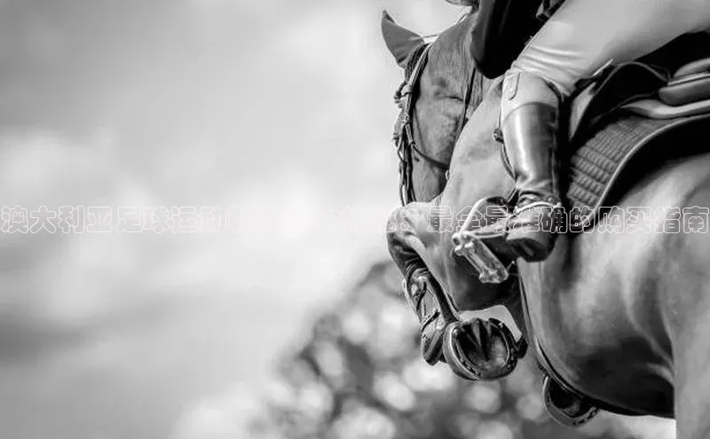 天富娱乐注册百度翻译App澳大利亚足球运动鞋价格大揭秘：最全最准确的购买指南