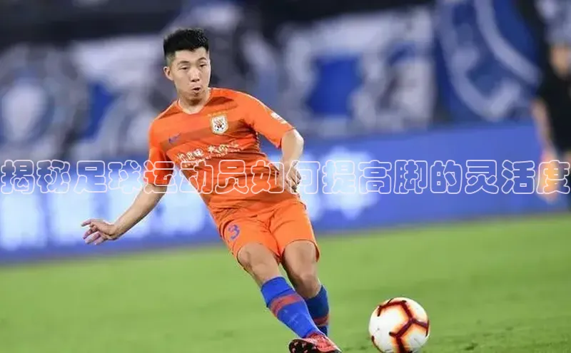 天富测速登录地址赛富乐斯揭秘足球运动员如何提高脚的灵活度