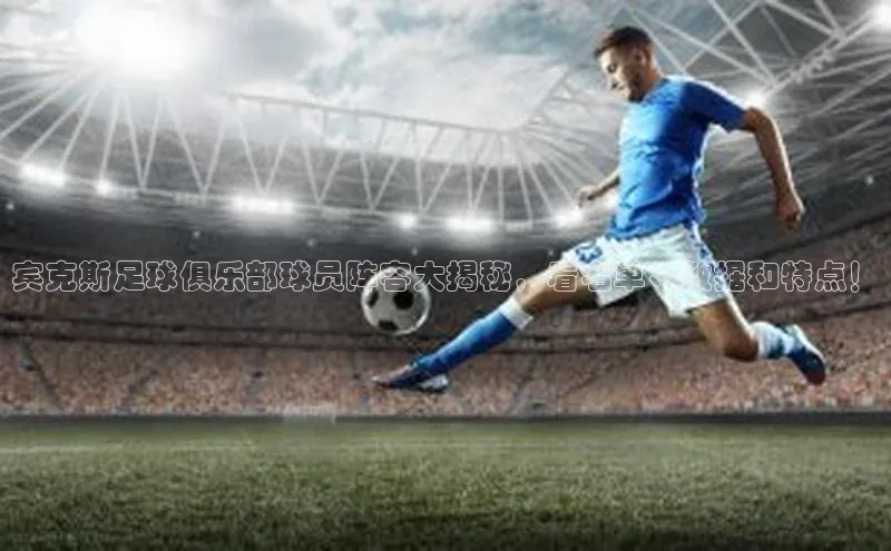 天富测速福石控股宾克斯足球俱乐部球员阵容大揭秘，看名单、数据和特点！
