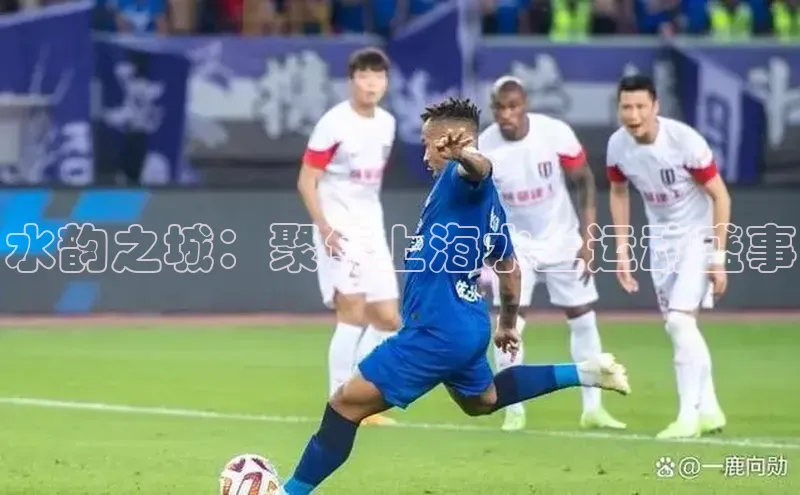 水韵之城：聚焦上海水上运动盛事