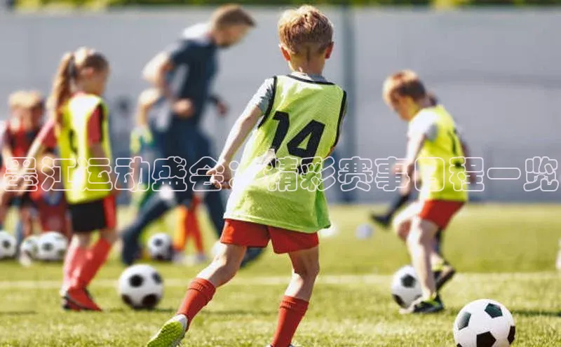 墨江运动盛会：精彩赛事日程一览