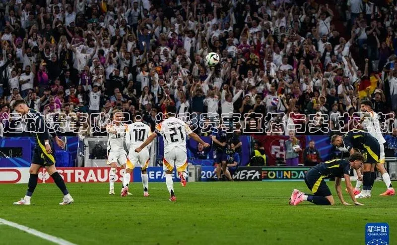 运动赛事账号：精彩赛事直播与实时更新