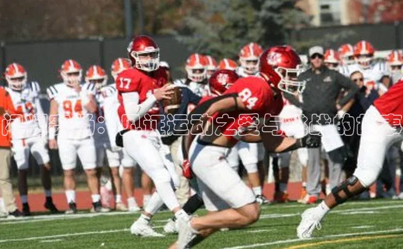 闪耀赛场：见证运动之爱与挑战的故事