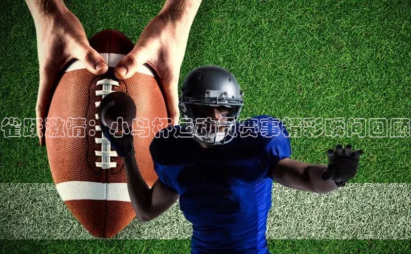 雀跃激情：小鸟杯运动员赛事精彩瞬间回顾